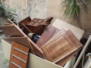 1-800-GOT-JUNK? Review